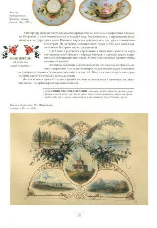 Мода на ботанику. Цветочный мир Петергофа