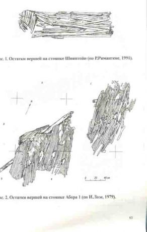 Древности Залесского края. Материалы к международной конференции "Каменный век европейских равнин"