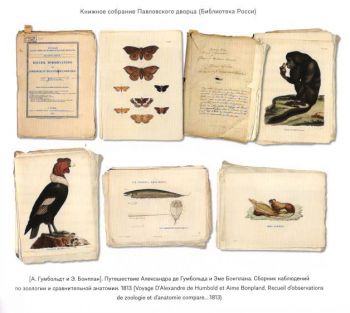 К истории дворцовой библиотеки